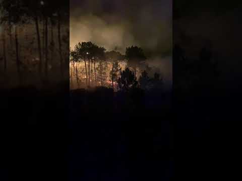 Incendio all'Elba fra Rio e Porto Azzurro
