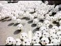 British Airways Soccer 1985 British Airways Soccer 1985