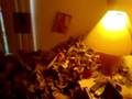 Roommate prank Newspaper in room