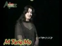 naghma pashto song