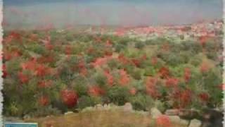 بتذكر اليامون