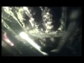 Гледай видео