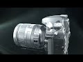 Nikon D800 Specifications