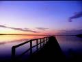 videos de illawarra