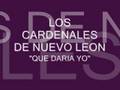 Cardenales De Nuevo Leon Que No Daria Official Music Video and Lyrics