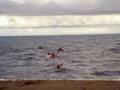videos de _youths_