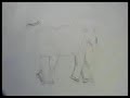 "The Bad Flower" Elephant Animation Exercise