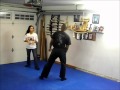 Bujinkan Butoku Dojo training # 118