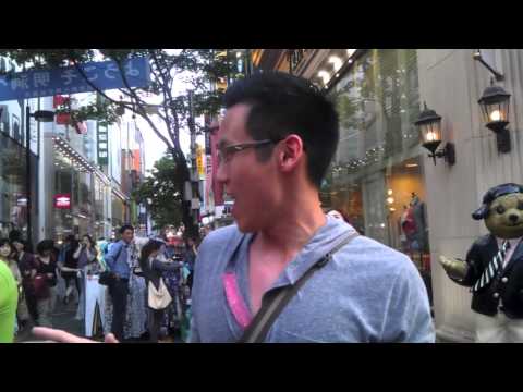 The Peregrinator: Seoul