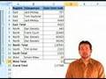 Excel Data Analysis - Using Subtotals