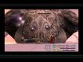 Final Fantasy X International-Overdrive Sin-Boss Battle #34
