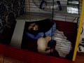 Mijn Fretten aan het spelen met de Kong Mijn Fretten aan het spelen met de Kong