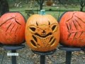 Great Jack-o-Lantern Blaze Festival