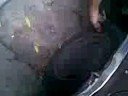 Enchulame La Maquina Maracucho