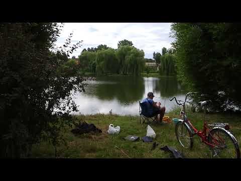 Барановичи день за днем. 18.07.22.