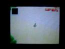 Peach Gardens, 1:32:131 Manele-Gratis.net