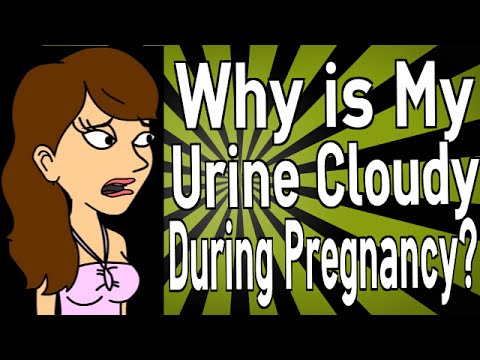 how to treat uti if pregnant