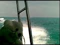 Iago going to Perhentian Island