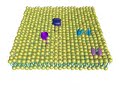 Cell membrane animation