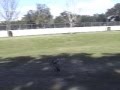 Traxxas Nitro Truck Bash!!