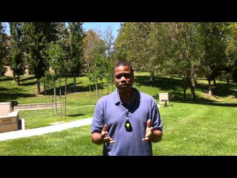 Athletic Sports Trainers Needed