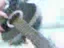 Gitarc? :)