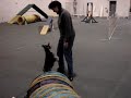 Jen and Java Doing Agility 12-22-06