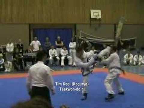 Taekwondo from Delft