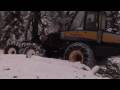 Old Growth Forest Logging Resumed Once Again in Finnish Lapland