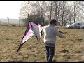 Cobra et petites choses
