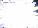 libertao2012 Amaral Doce Palabras, la explicaci�n