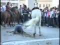 Dumme Unfälle, Fails of 2009