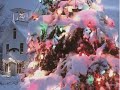 Steve Lawrence & Eydie Gorme - That holiday feeling (from old long playing 33rpm) Steve Lawrence & Eydie Gorme - That holiday feeling (from old long playing 33rpm)