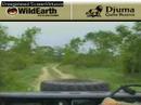 Sunrise drive 112807-10