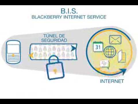 Imagen de previsualización de YouTube