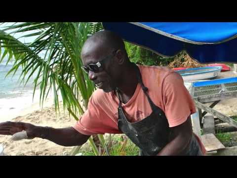 Barbados Holidays: Experience the culture with self catering accommodation