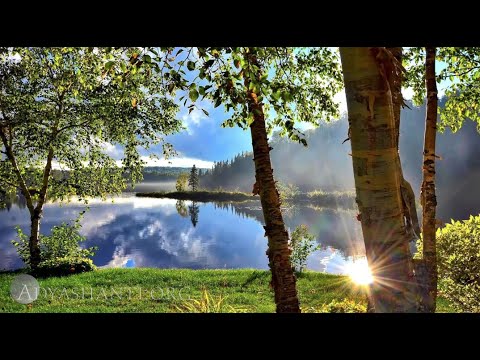 Adyashanti Guided Meditation: Who Are You?