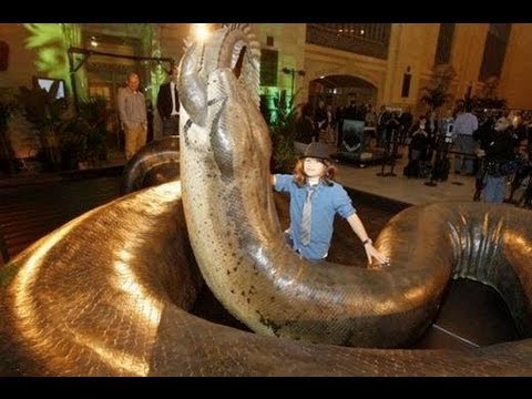 uzun yarak vıdeo