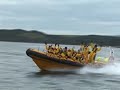 Ribcraft 9.0 Sea Safari Tourist Boat