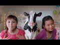 Real California Milk Commercial (2012 - 2013) (Television Commercial)