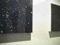 Venice Artwalk 2007