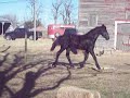 100_2986.MOV