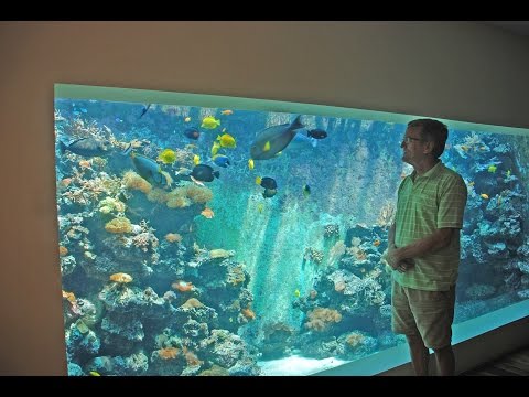 Guy Builds Huge 30 000 Liter Aquarium In His Living