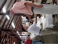 SIDEWAYS!! Auctioneer Scott Vander Kolk auction