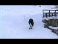videos de Brandon qui glisse sur les fesses