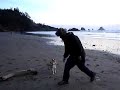 shiba inu fetch