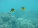 videos de Hanauma Bay Snorkel Adventure
