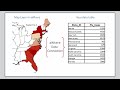 Introduction to Data Connections