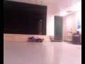stupid kids falling off chairs lol