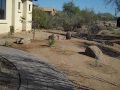 Scottsdale homes for sale Real Estate BILLSCOTTsdale homes.com.wmv